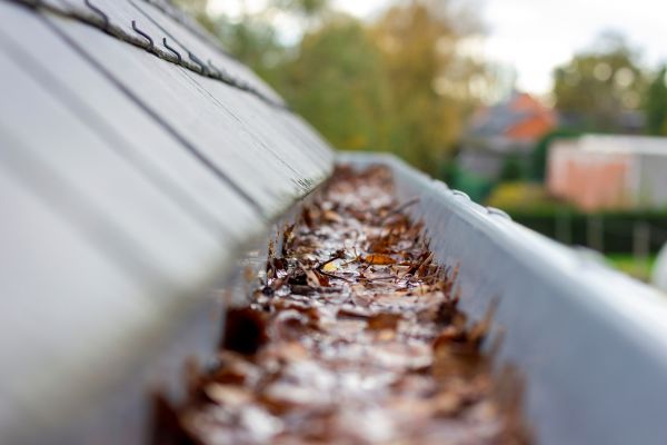 Cost of Commercial Gutter Cleaning in Rock Hill
