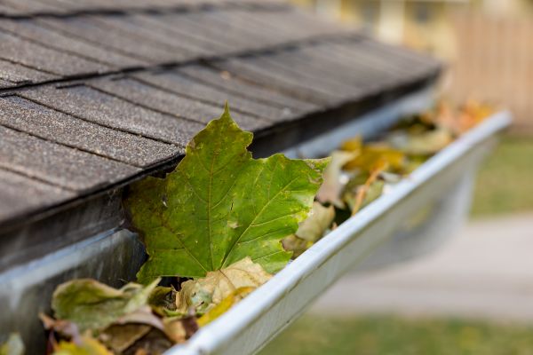 Cost of Commercial Downspout Cleaning in Rock Hill