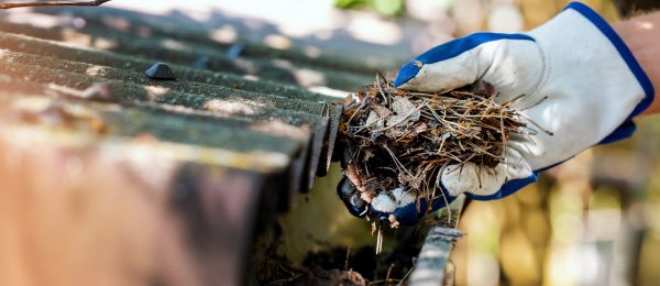 Pine Needle Gutter Cleaning in Rock Hill