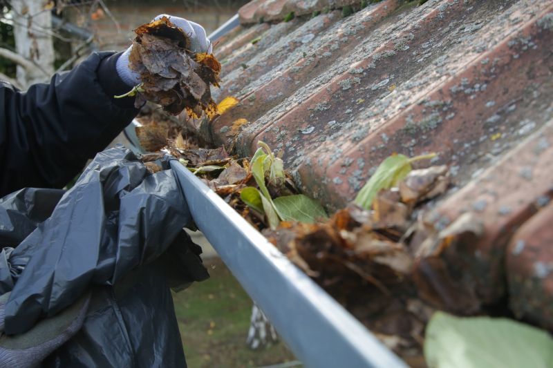 Removing Leaf Debris from Gutter