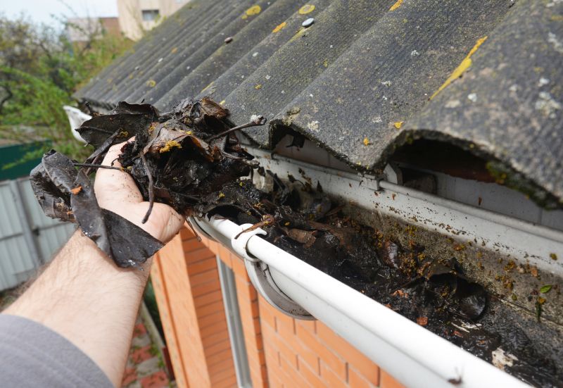 Clean Gutters with Debris Removal