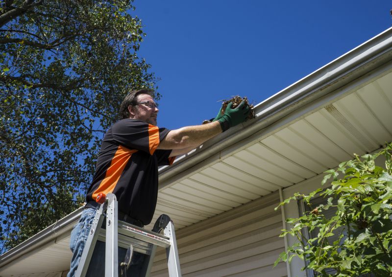 Gutter Cleanings