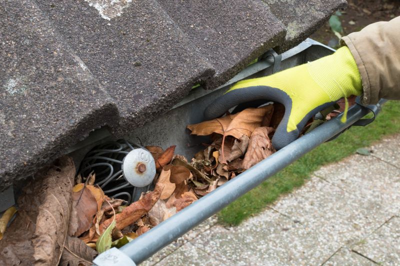 Gutter Cleanings