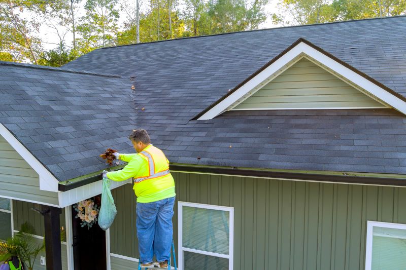 Gutter Cleanings