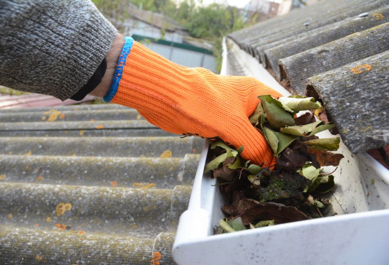 Gutter Leaves Removal